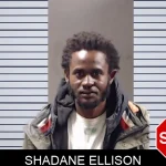 Shadane Ellison mugshot