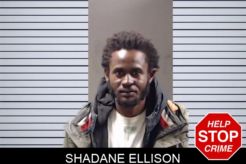Shadane Ellison mugshot