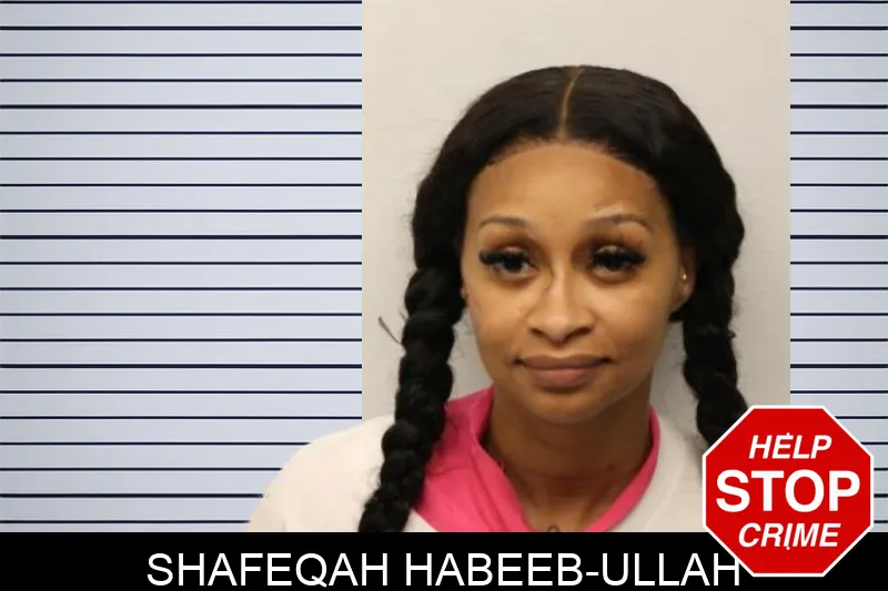 Shafeqah Habeeb-Ullah mugshot – Chatham County , Georgia Shafeqah Habeeb-Ullah mugshot