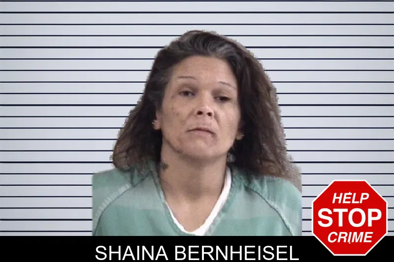 Shaina Bernheisel mugshot