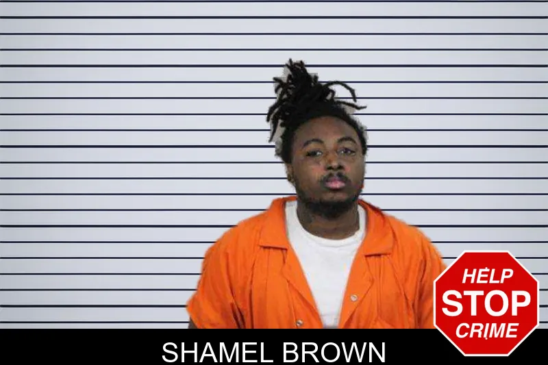 Shamel Brown mugshot
