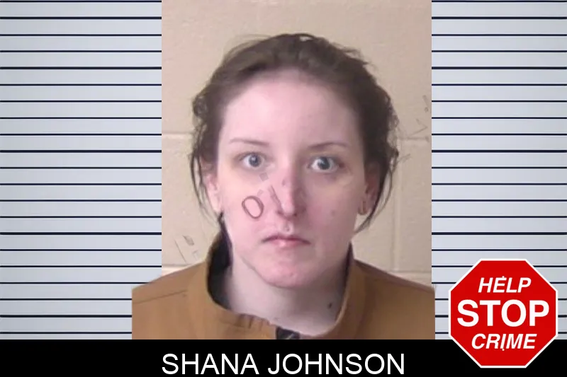 Shana Johnson mugshot