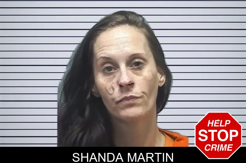 Shanda Martin mugshot