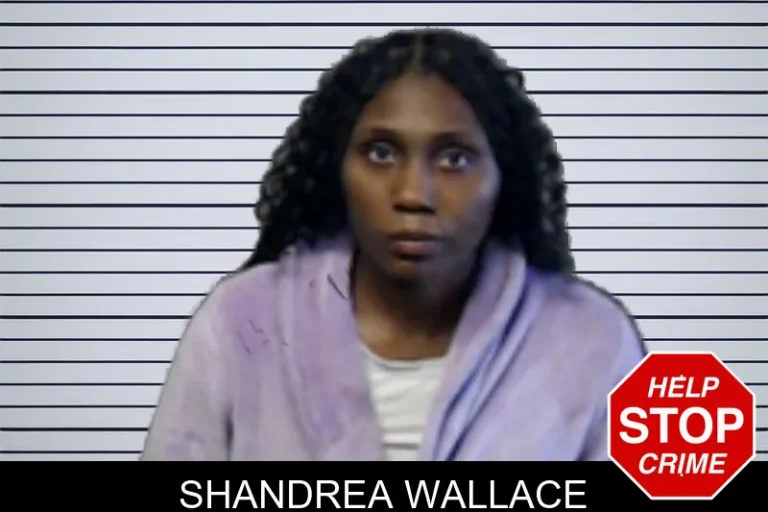 Shandrea Wallace mugshot – DeKalb County , Georgia Shandrea Wallace