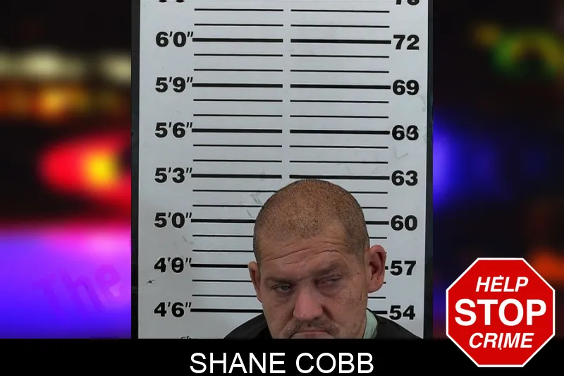 Shane Cobb mugshot
