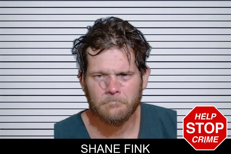 Shane Fink mugshot – Glynn County , Georgia Shane Fink mugshot