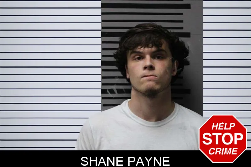 Shane Payne mugshot