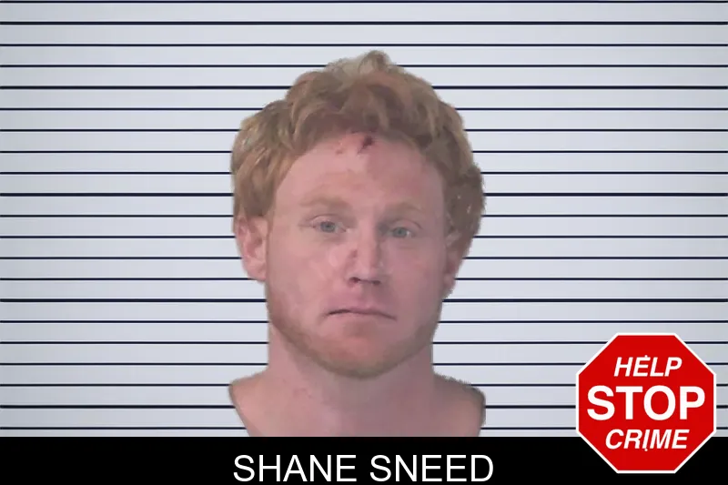 Shane Sneed mugshot