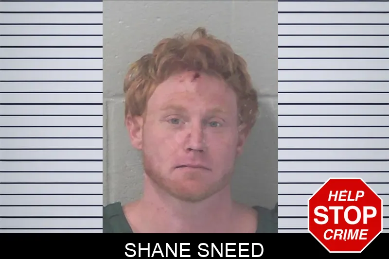 Shane Sneed mugshot