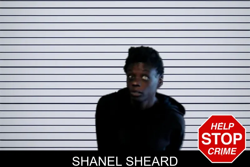 Shanel Sheard mugshot