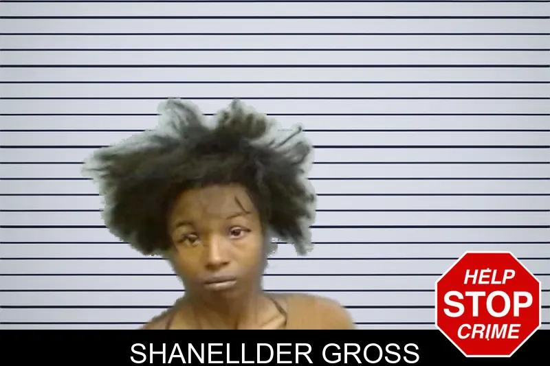 Shanellder Gross mugshot – Fulton County , Georgia Shanellder Gross mugshot