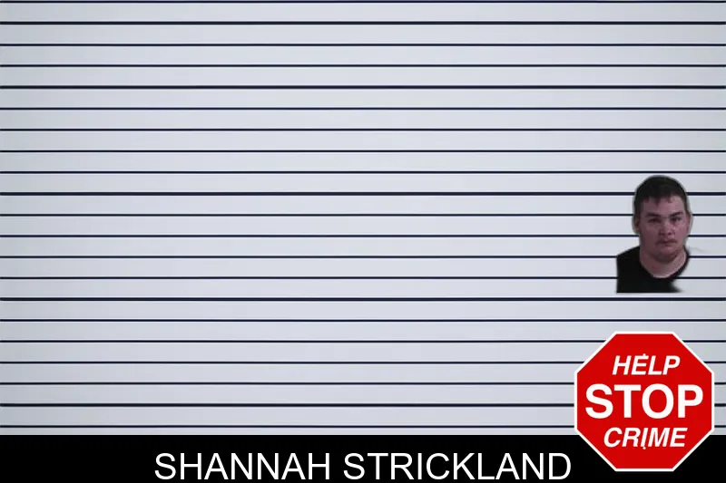 Shannah Strickland mugshot