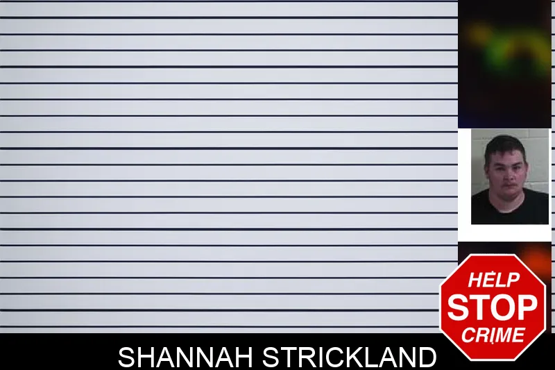 Shannah Strickland mugshot