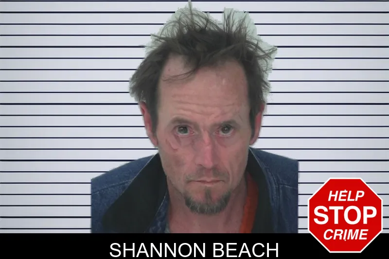 Shannon Beach mugshot