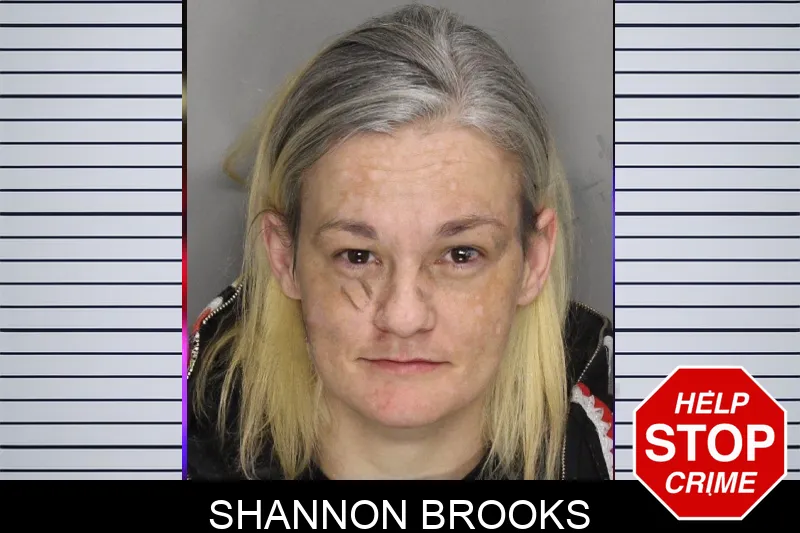 Shannon Brooks mugshot – Cobb County , Georgia Shannon Brooks mugshot