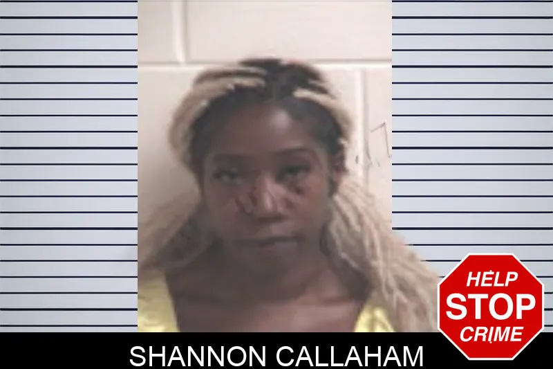 Shannon Callaham mugshot – Henry County , Georgia Shannon Callaham mugshot