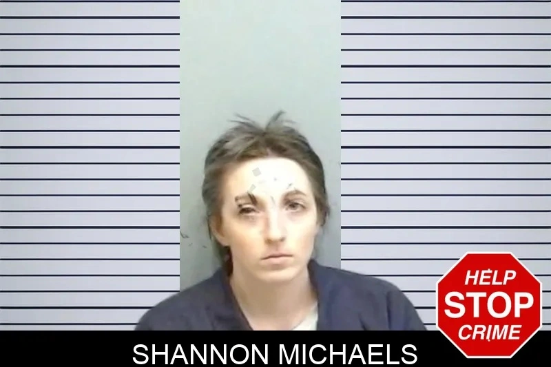 Shannon Michaels mugshot