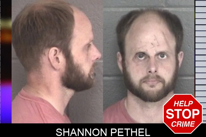 Shannon Pethel mugshot