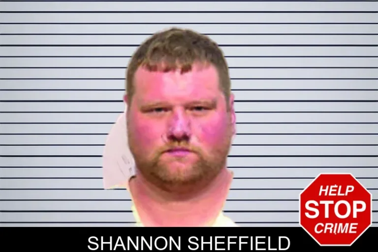 Shannon Sheffield
