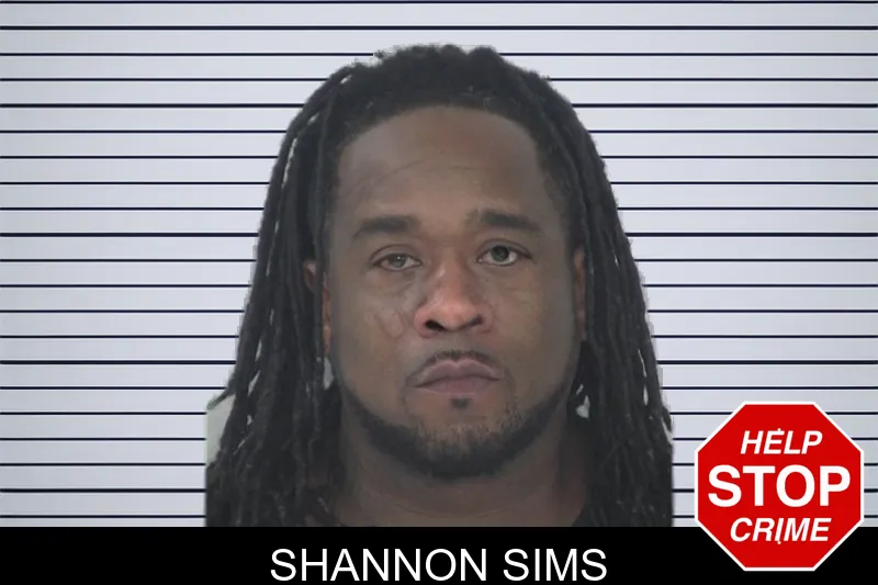 Shannon Sims mugshot – Fayette County , Georgia Shannon Sims mugshot