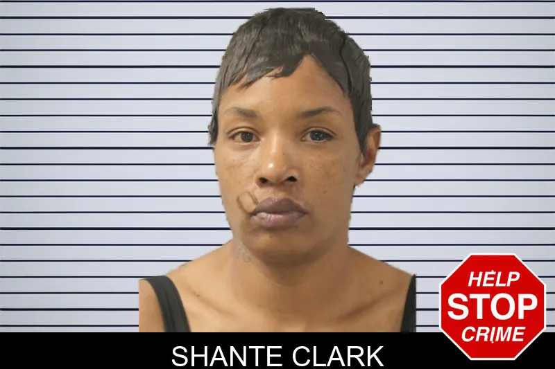 Shante Clark mugshot