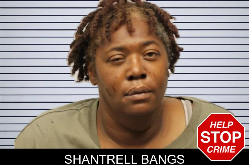 Shantrell Bangs mugshot – Chatham County , Georgia Shantrell Bangs mugshot