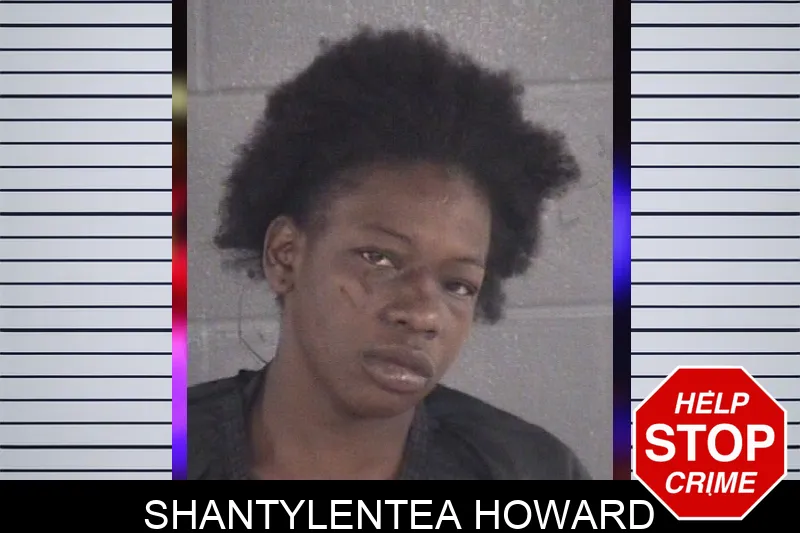 Shantylentea Howard mugshot – Spalding County , Georgia Shantylentea Howard mugshot