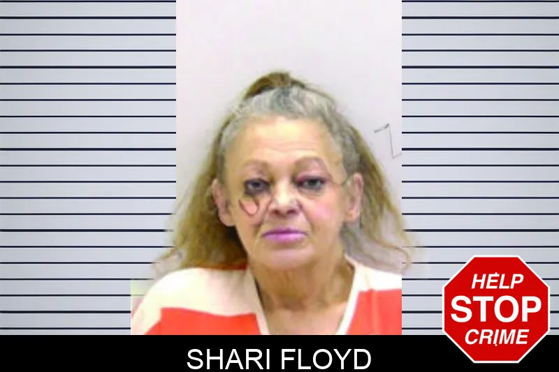 Shari Floyd mugshot – Bartow County , Georgia Shari Floyd mugshot