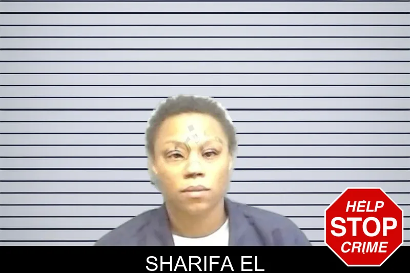 Sharifa El mugshot – Fulton County , Georgia Sharifa El mugshot