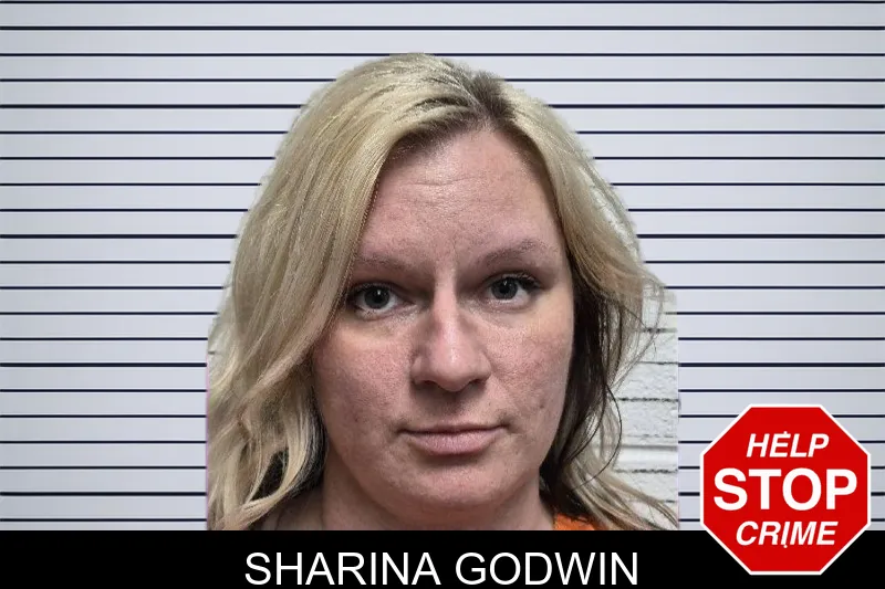 Sharina Godwin mugshot – Dade County , Georgia Sharina Godwin mugshot