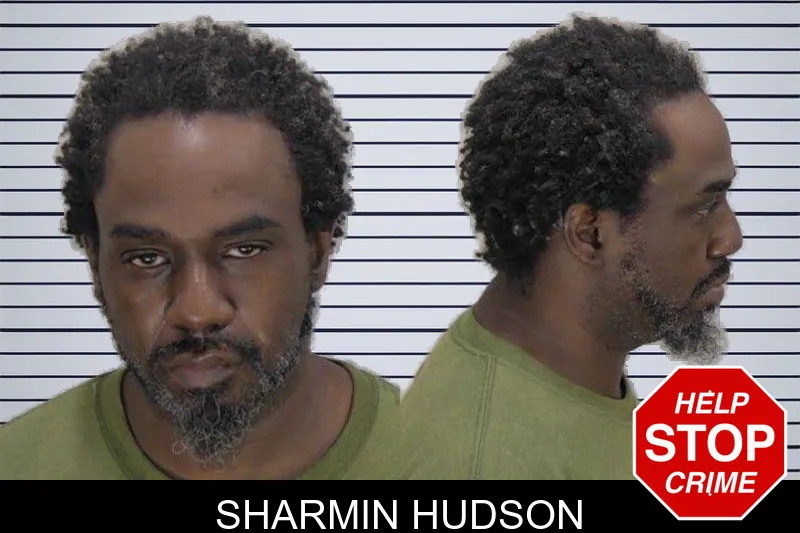 Sharmin Hudson mugshot