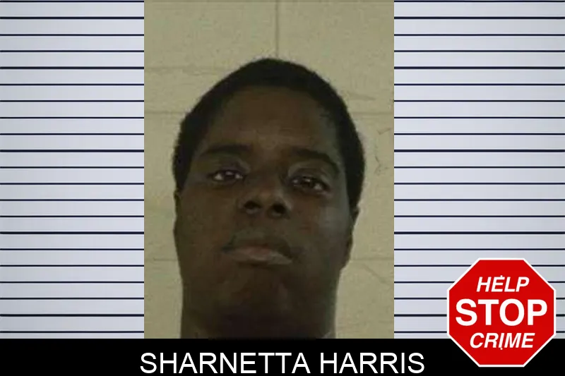 Sharnetta Harris mugshot – Liberty County , Georgia Sharnetta Harris mugshot
