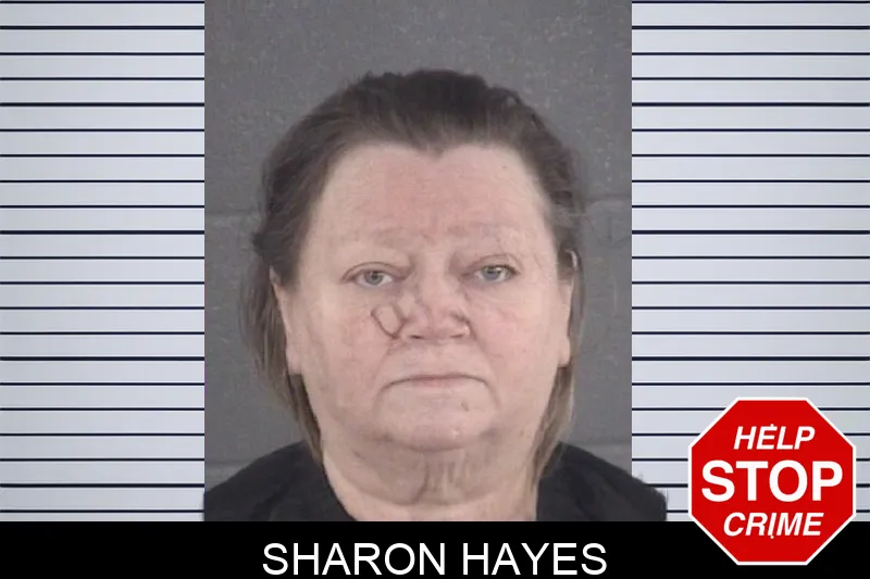 Sharon Hayes mugshot – Spalding County , Georgia Sharon Hayes mugshot