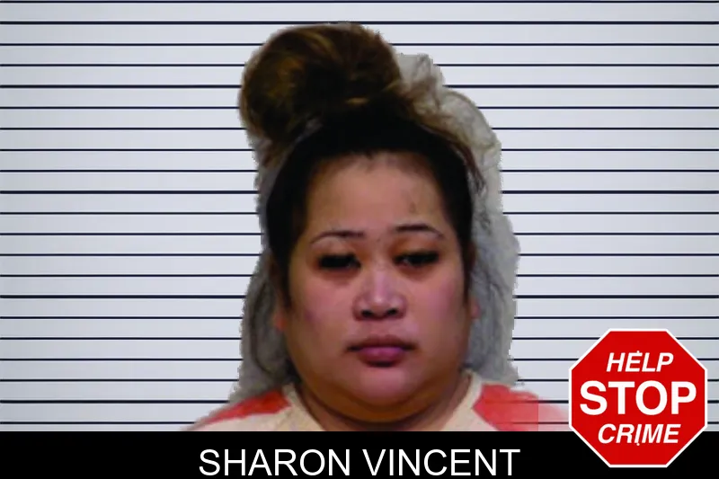 Sharon Vincent mugshot – Bartow County , Georgia Sharon Vincent mugshot