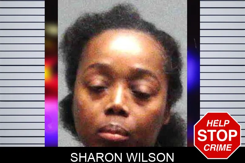 Sharon Wilson mugshot