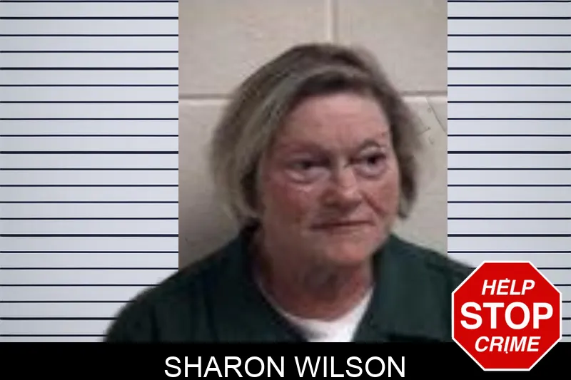 Sharon Wilson mugshot