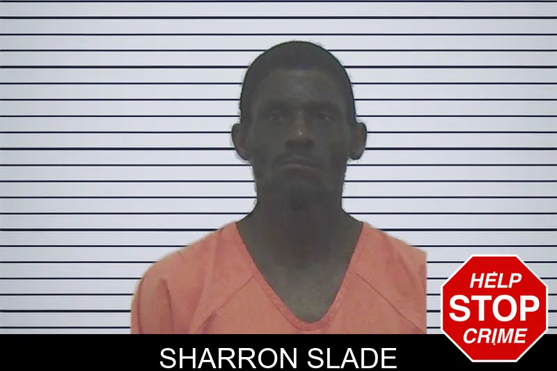 Sharron Slade mugshot