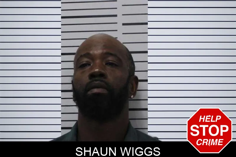 Shaun Wiggs mugshot – Colquitt County , Georgia Shaun Wiggs mugshot