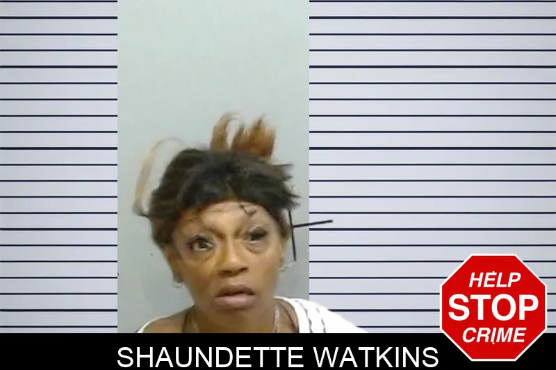Shaundette Watkins mugshot