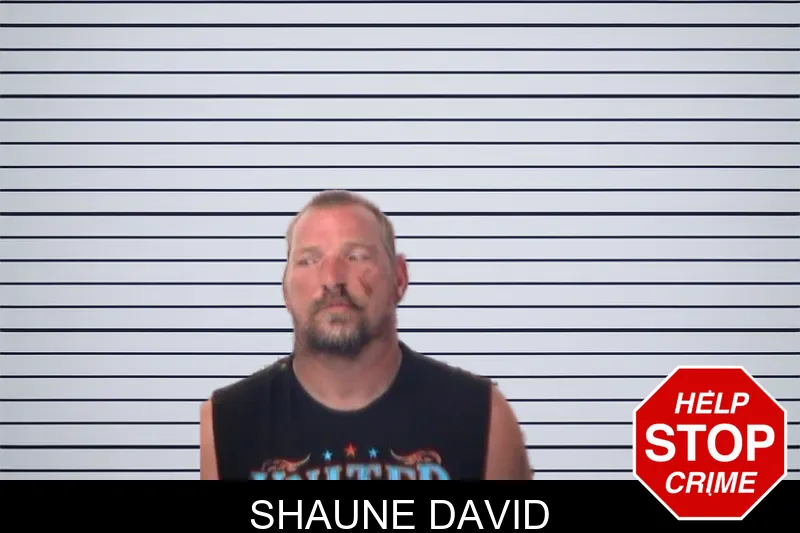 Shaune David mugshot