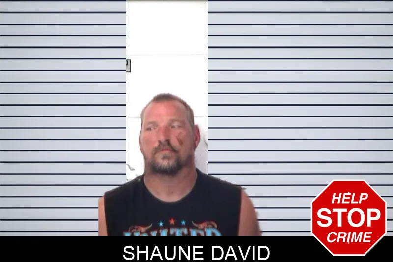 Shaune David mugshot