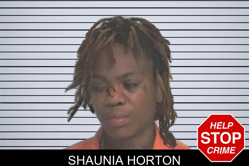 Shaunia Horton mugshot – Berrien County , Georgia Shaunia Horton mugshot