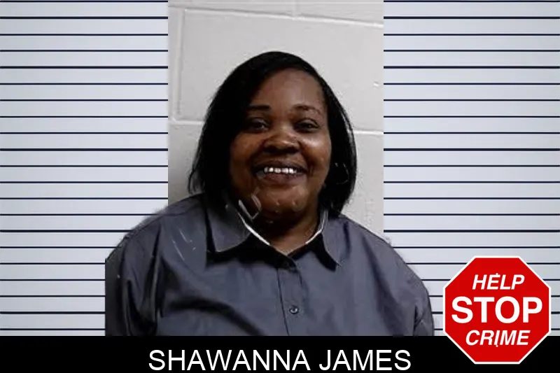 Shawanna James mugshot