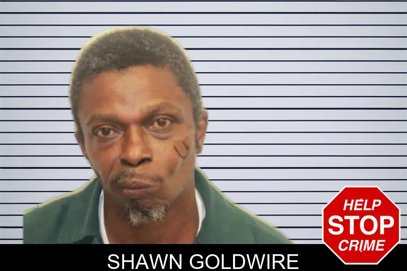 Shawn Goldwire mugshot – Chatham County , Georgia Shawn Goldwire mugshot