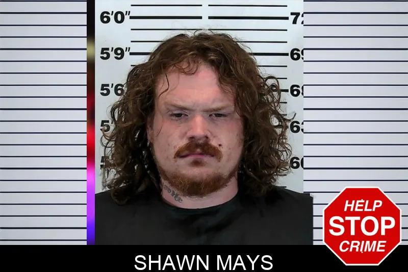 Shawn Mays mugshot