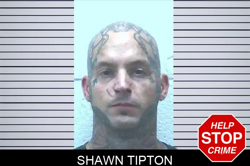 Shawn Tipton mugshot – Jackson County , Georgia Shawn Tipton mugshot