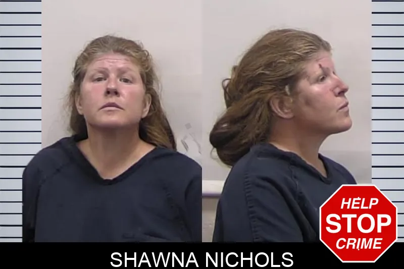 Shawna Nichols mugshot