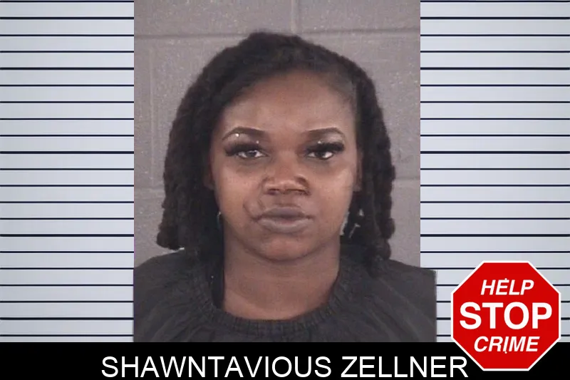 Shawntavious Zellner mugshot