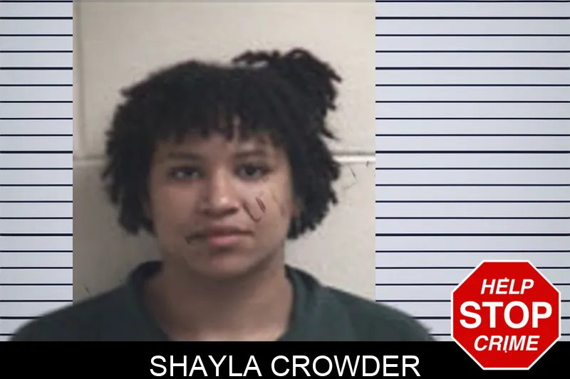 Shayla Crowder mugshot – Henry County , Georgia Shayla Crowder mugshot