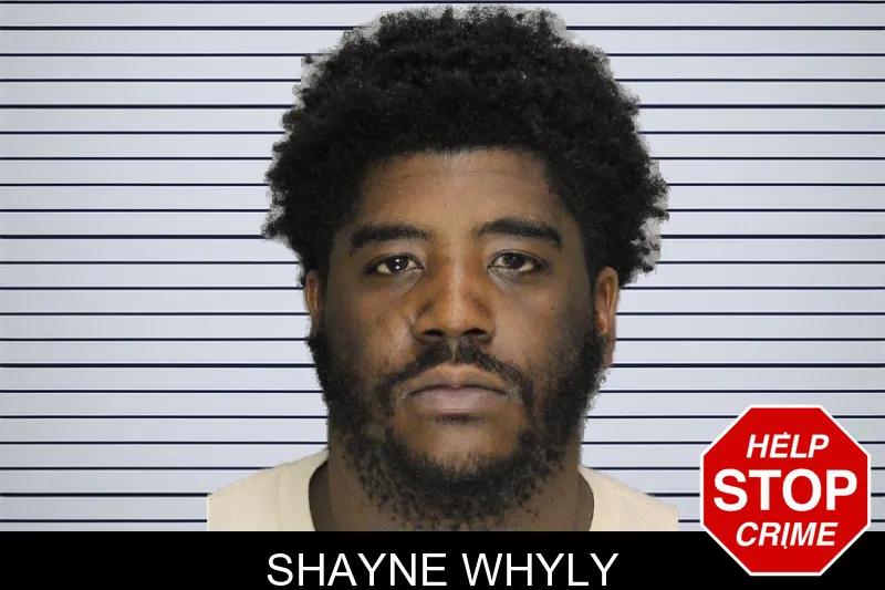 Shayne Whyly mugshot – Cobb County , Georgia Shayne Whyly mugshot